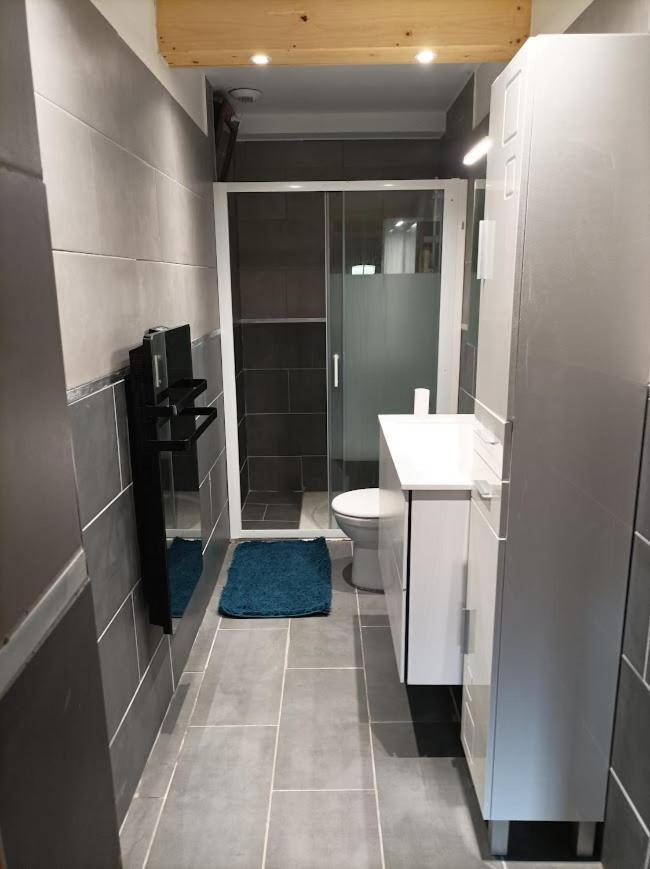 Joli Appart Terrasse Et Jardinet Albertville Εξωτερικό φωτογραφία